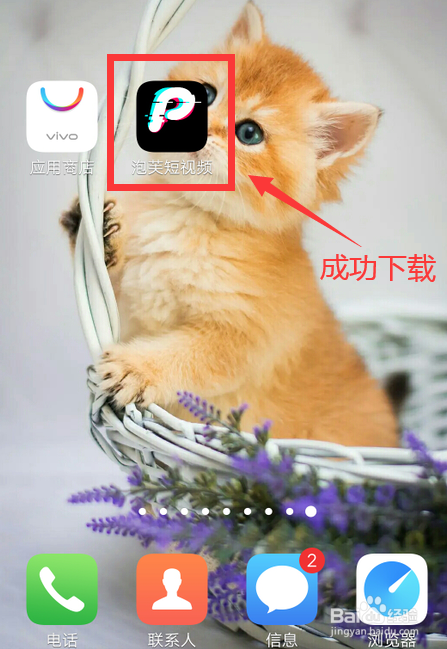 手机舞动 | whatsapp下载攻略