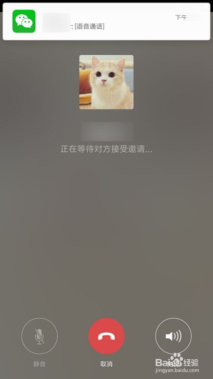 whatsapp官方app，聊天达人必备！