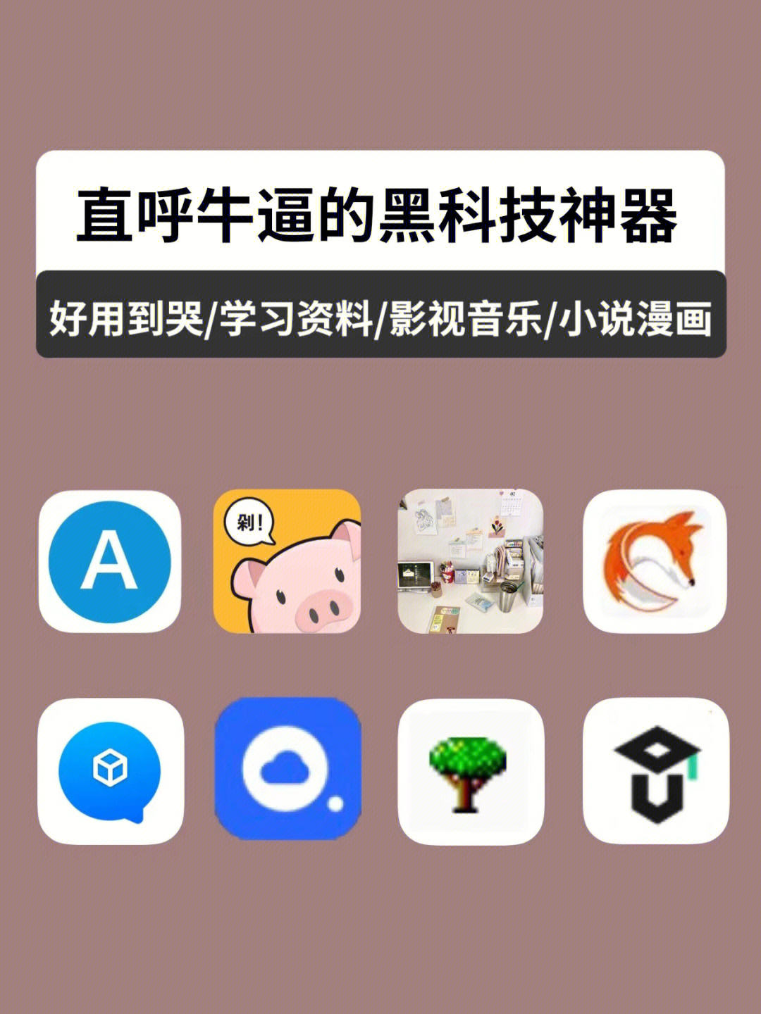轻松下载whatsapp，官网就行