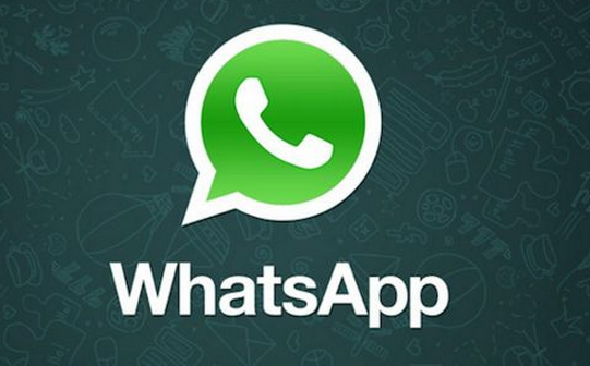 whatsapp官方app_官方whatsapp免费下载_官方whatsapp下载不了