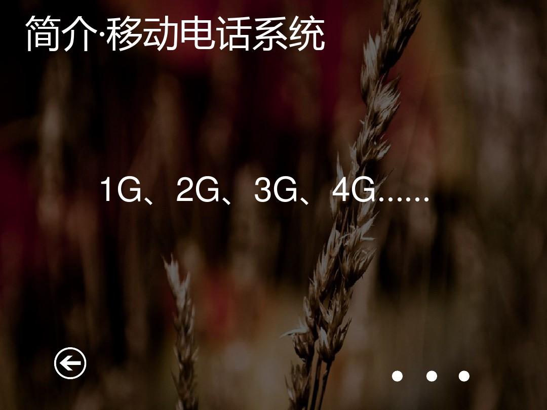 中文whatsapp手机版，便捷沟通随时随地