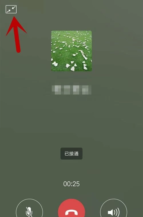 whatsapp官网下载_官网下载软件_官网下载波克捕鱼