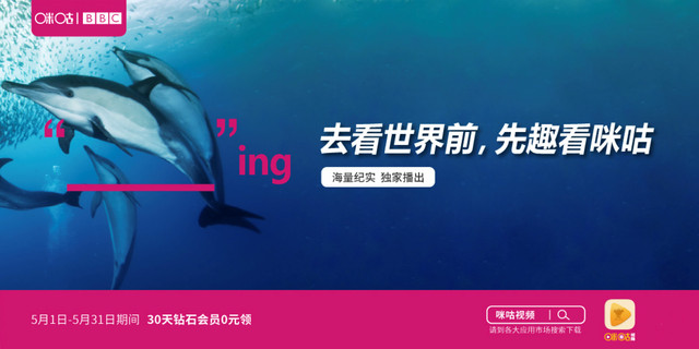 告别翻墙，畅享whatsapp正版，轻松下载