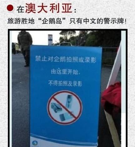 终于有中文版的whatsapp了！告别尴尬，畅享社交软件