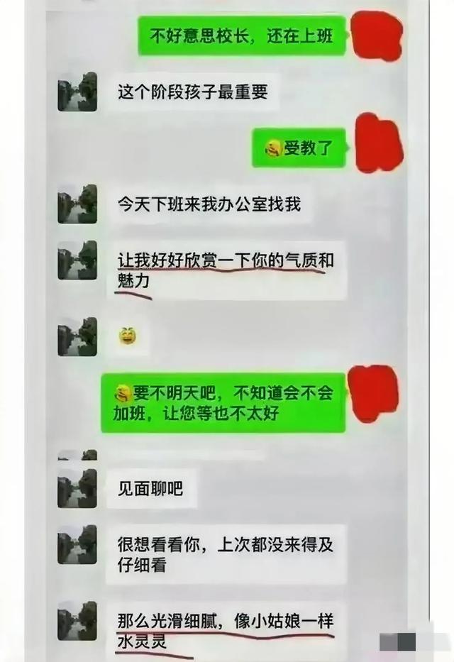 官方whatsapp_whatsapp官方app_官方whatsapp怎么下载