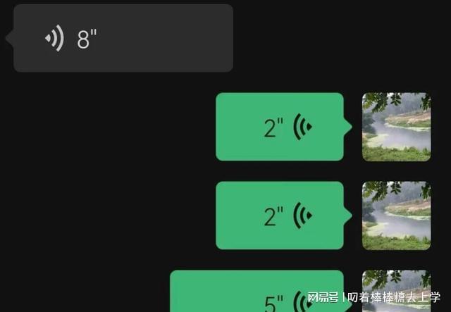 whatsapp中文最新版：聊天方式多元化，消息提醒智能化，