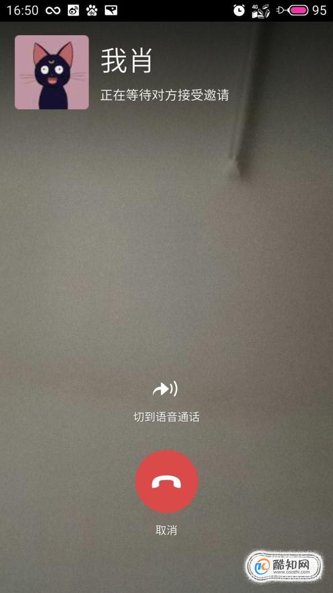 whatsapp中文官方下载：不止聊天，还能实时视频，快来体
