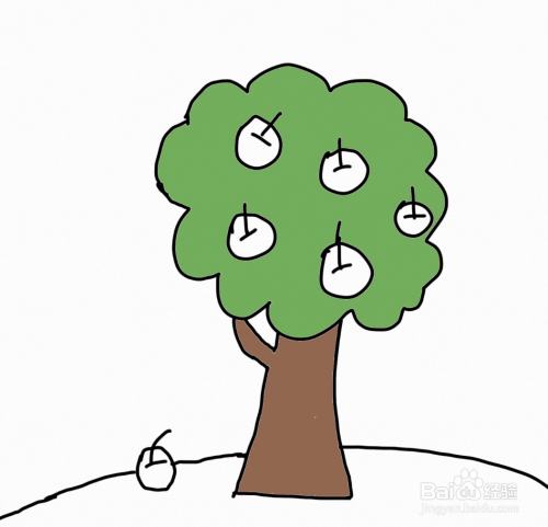 建制派whatsapp_创建AppleID账号_whatsapp怎么创建？