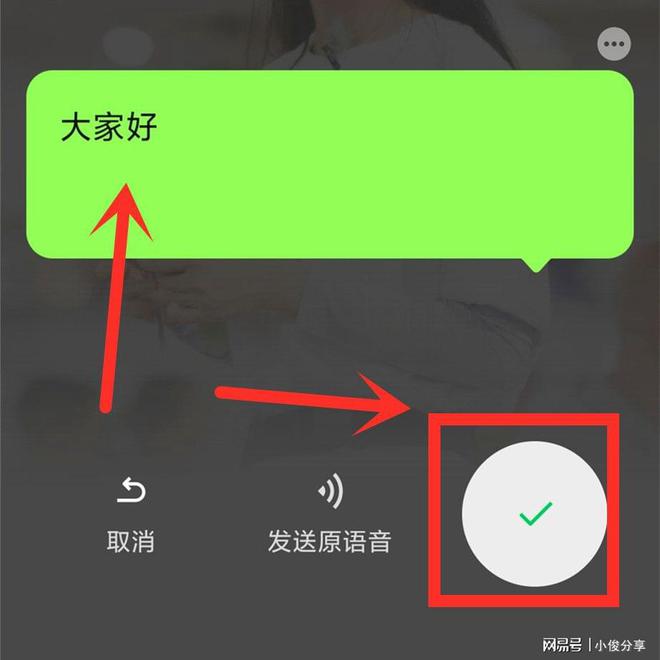 whatsapp官方app-WhatsApp官方app：通讯