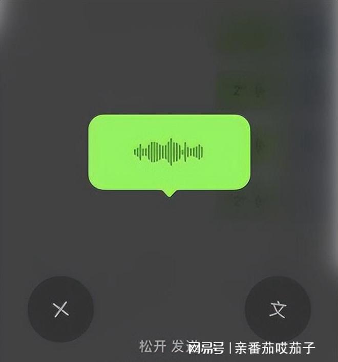 whatsappyo_使用权资产_whatsapp怎么使用？