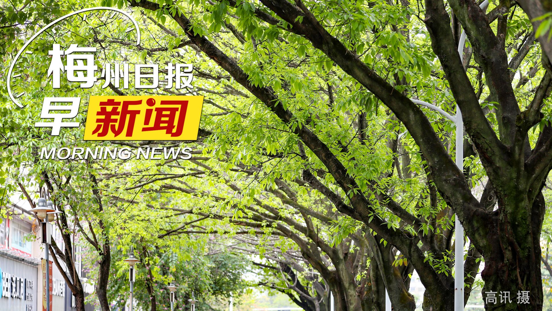安卓app下载新普京-新普京App下载攻略，安全第一