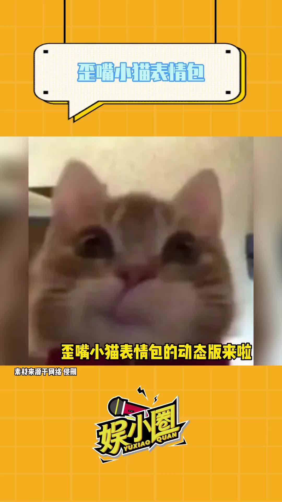 whatsapp怎么使用？-WhatsApp新手指南：5步搞