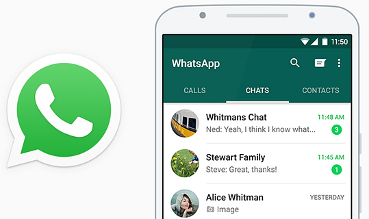 whatsapp如何聊天-WhatsApp聊天技巧：如何高效