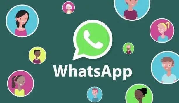 whatsapp官方app-WhatsApp官方App：简洁