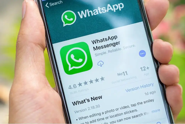 whatsapp官方app-WhatsApp官方App：畅享