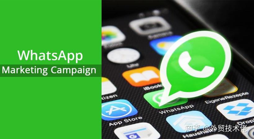 whatsapp如何聊天-WhatsApp聊天技巧：高效沟通