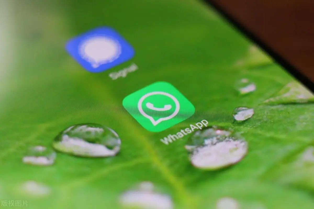 安卓版whatsapp下载_whatsapp安卓版_whatsapp安卓版