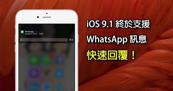 whatsapp下载安卓-WhatsApp：实用的通讯应用，