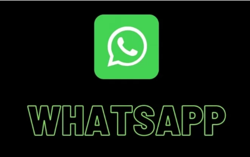 whatsapp中文版_whatsapp国内正版下载_whatsapp官方中文正版