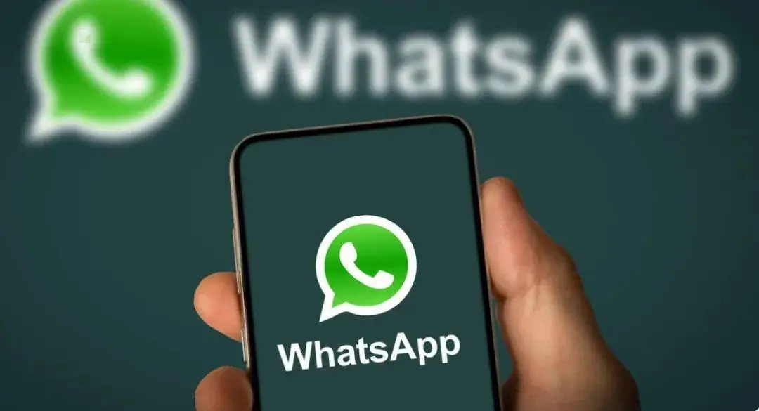 whatsapp官方手机版-WhatsApp 官方手机版：通