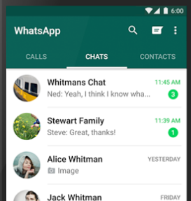 whatsapp中文手机版_中文版手机电子琴安装_中文版手机电子琴软件下载