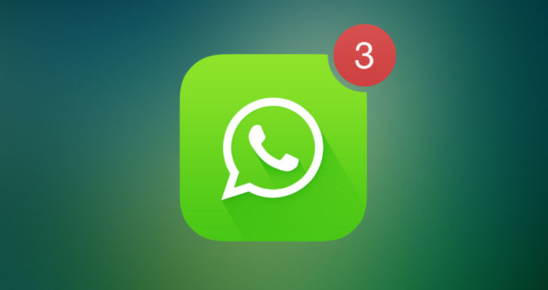 whatsapp下载_下载whatsapp安卓版_苹果手机下载whatsapp