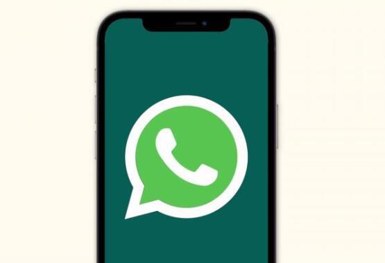 whatsapp是属于什么_属于是否生产决策的内容有_whatsapp是什么的缩写