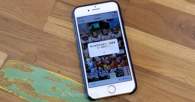 whatsapp官网版下载_樱花动漫官网下载版_飞飞手游官网下载版