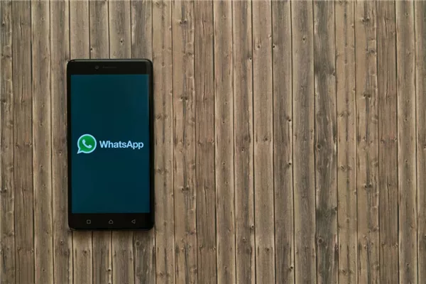 whatsapp官网版下载_飞飞手游官网下载版_樱花动漫官网下载版