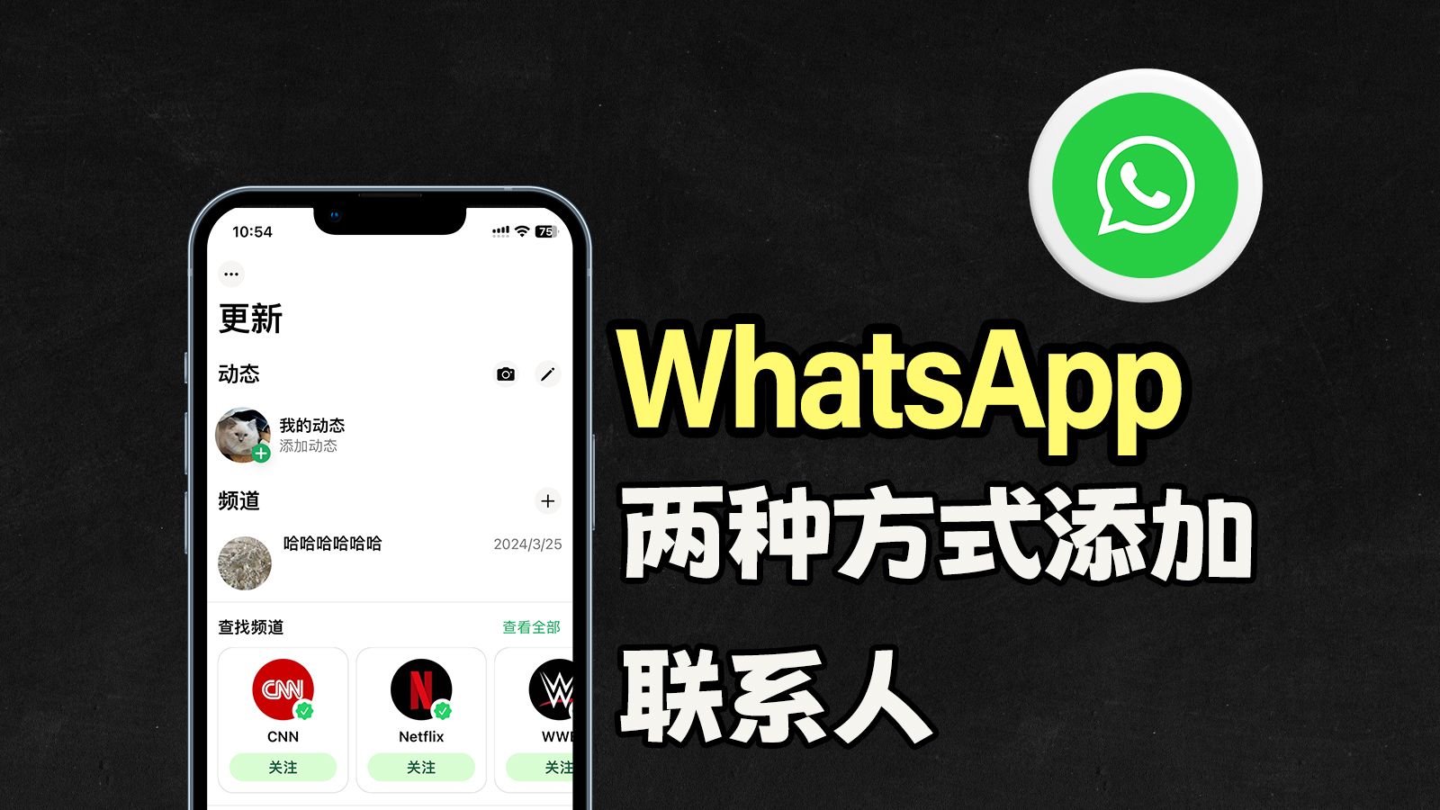 whatsapp官方正版-WhatsApp 官方正版：安全、