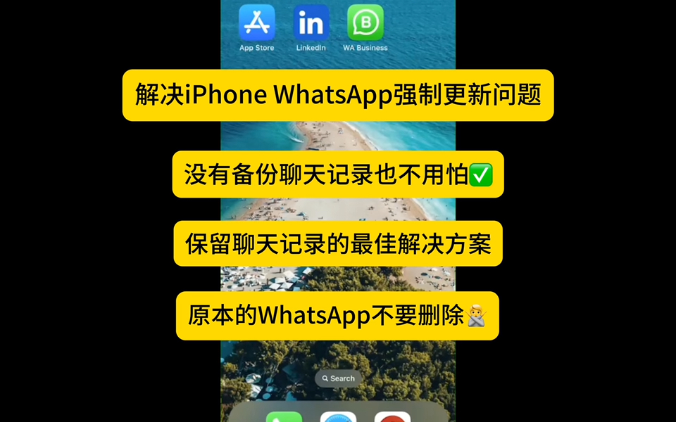 whatsapp下载电脑版官方正版-如何在电脑上下载 Wha