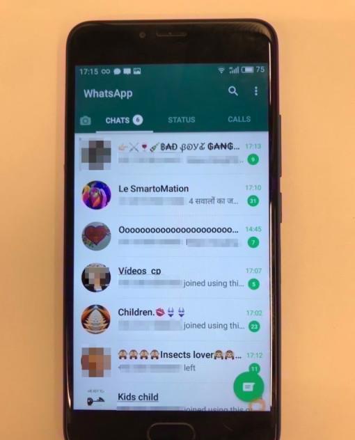 官方版手机是什么意思_whatsapp官方手机版_官方版手机正宗风水罗盘