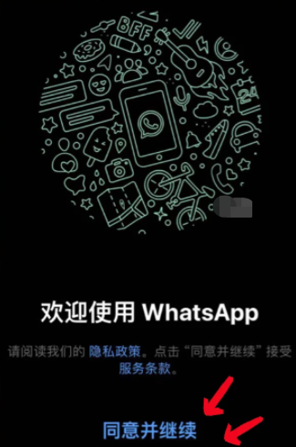 安卓版whatsapp下载_whatsapp安卓版_whatsapp安卓版