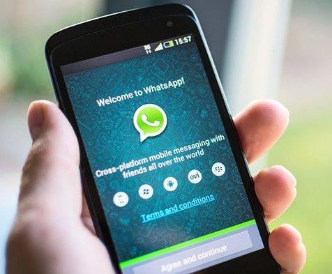 whatsapp下载_下载whatsapp安卓版_whatsapp官网下载