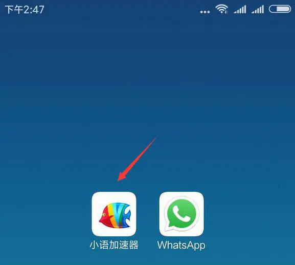whatsapp正版下载-WhatsApp 正版下载攻略：避