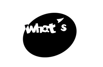 whats2.19.98下载-Whats2.19.98 下载