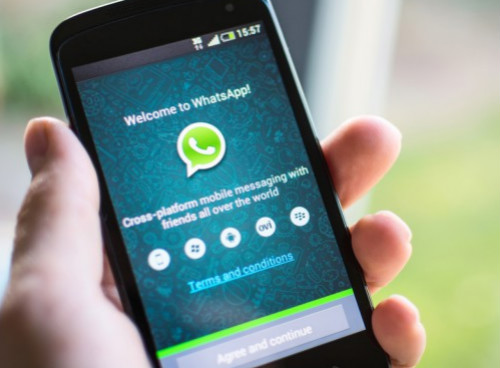 中文版手机电子琴免费下载_whatsapp中文手机版_中文版手机电子琴安装