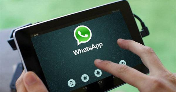 中文版手机电子琴免费下载_中文版手机电子琴安装_whatsapp中文手机版