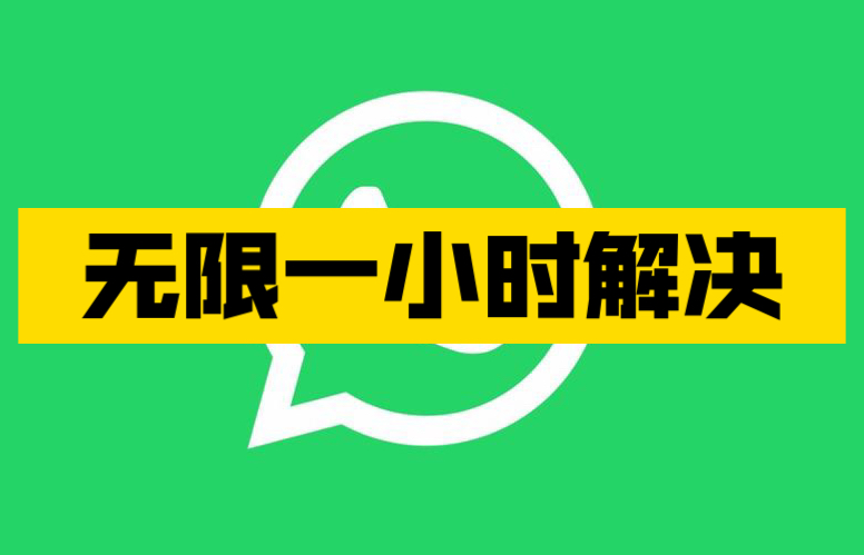 whatsapp官方正版-WhatsApp 官方正版：通讯神