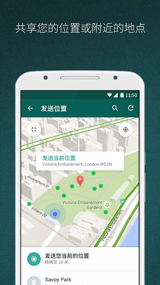 官方whatsapp下载不了_官方whatsapp免费_whatsapp官方app