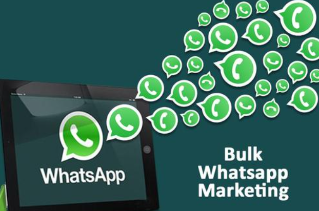 whatsapp怎么视频通话_whatsapp怎么视频通话_whatsapp怎么视频通话