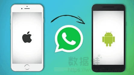 whatsapp聊天壁纸_whatsapp如何聊天_聊天软件