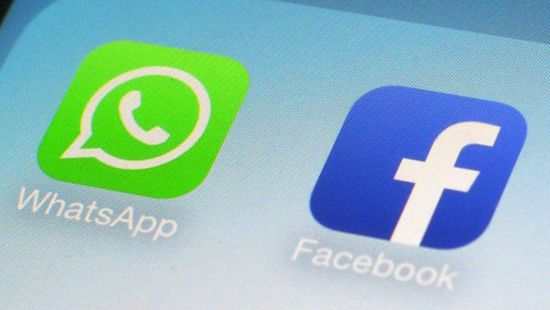 whatsapp正版下载_正版下载233乐园_正版下载鹿未来篇无广告