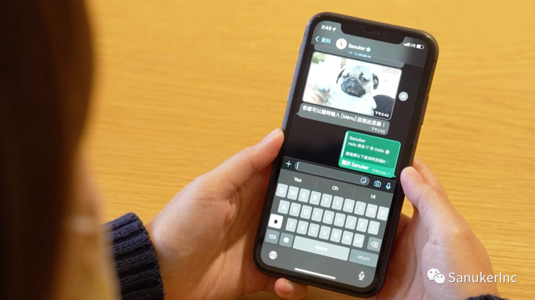whatsapp官方正版-WhatsApp 官方正版：功能强