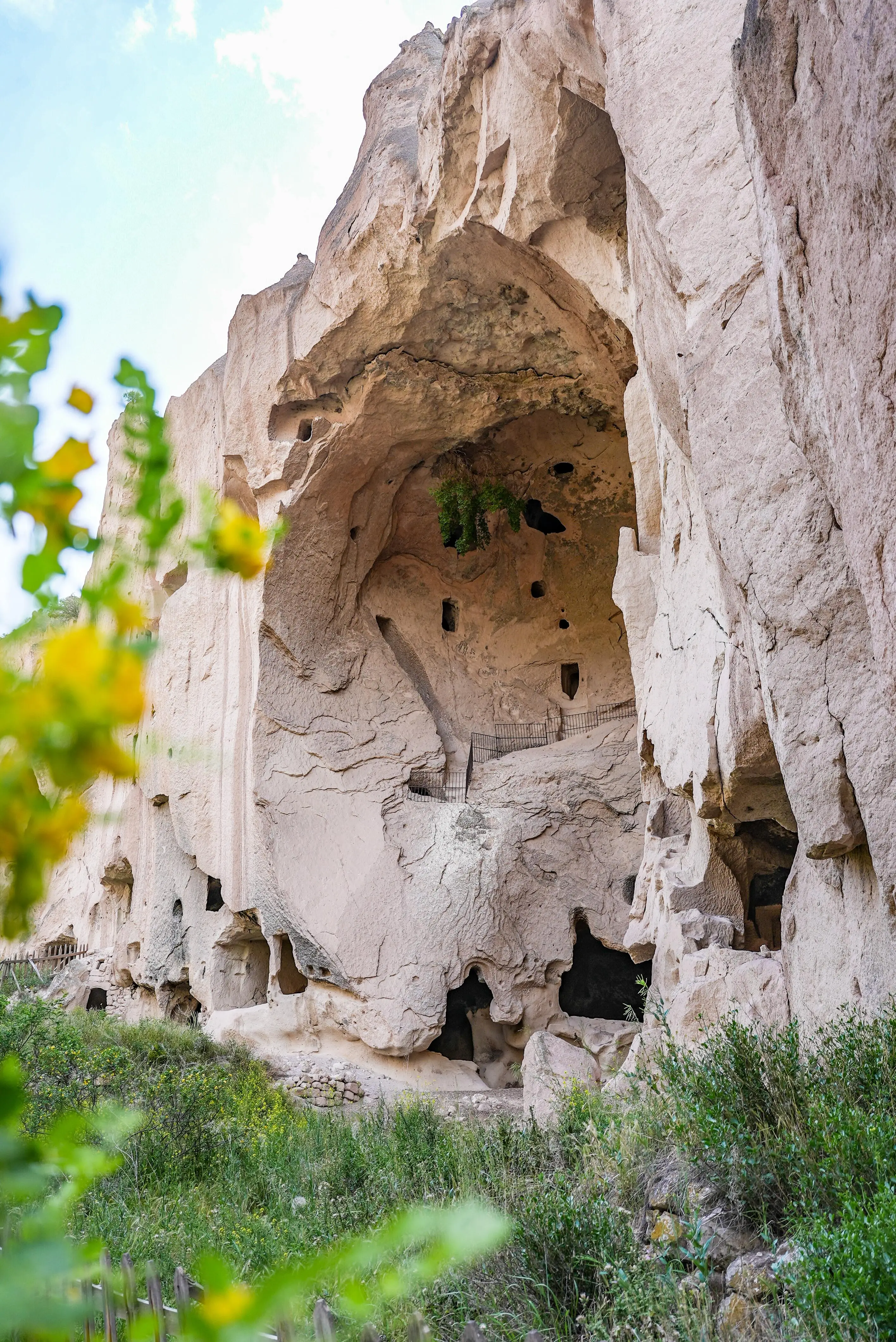 whatsapp官方手机版_官方版手机正宗风水罗盘_清纯下载官方版手机