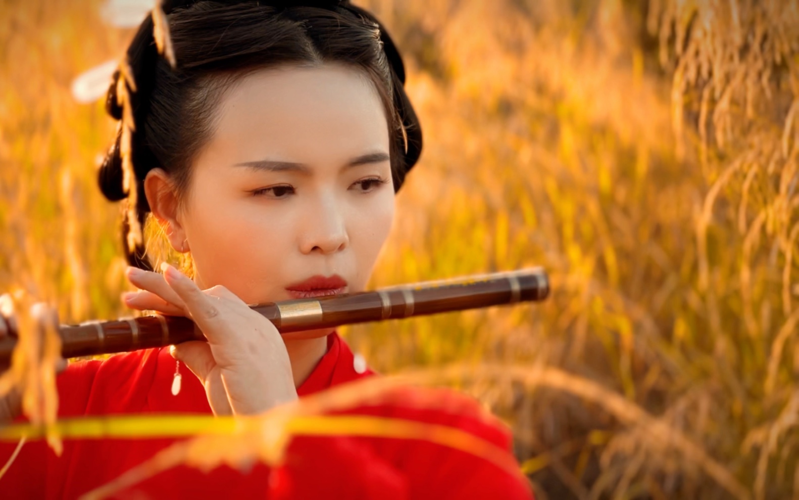 中文最新版樱花校园模拟器_中文最新版樱花校园模拟器下载_whatsapp中文最新版