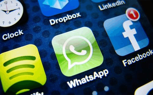 官方whatsapp免费下载-免费下载官方 WhatsApp，让聊天更便捷