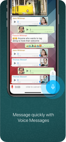 正版下载蛋仔派对_whatsapp正版下载_正版下载鹿未来篇无广告