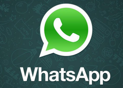 whatsapp官方app_官方whatsapp网站_官方whatsapp免费