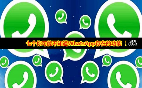 安卓下载WhatsApp_whatsapp怎么下载安卓_安卓下载whatsapp教程